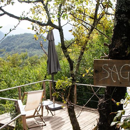 Hoopoe Glamping Hotel Virpazar Luaran gambar